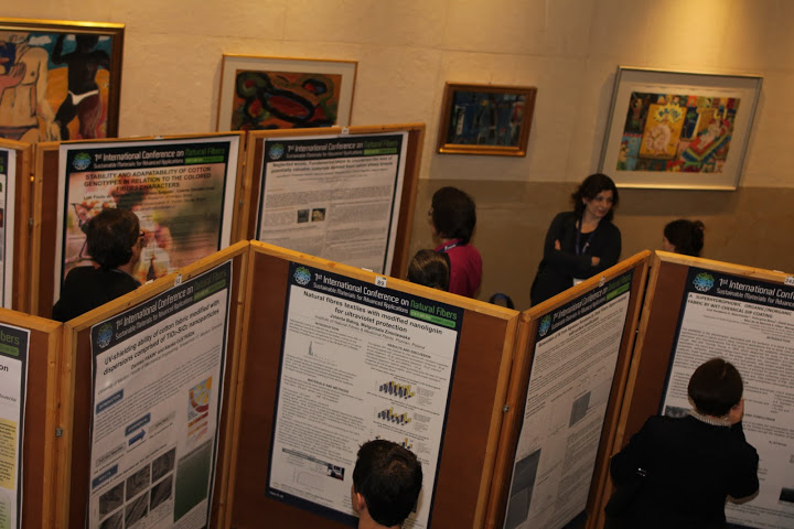 media/poster_session_icnf_2013.jpg